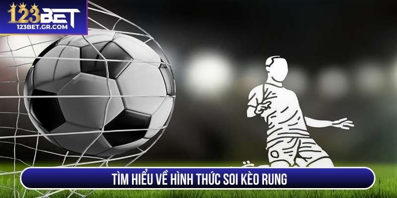 Tìm hiểu về hình thức soi kèo rung